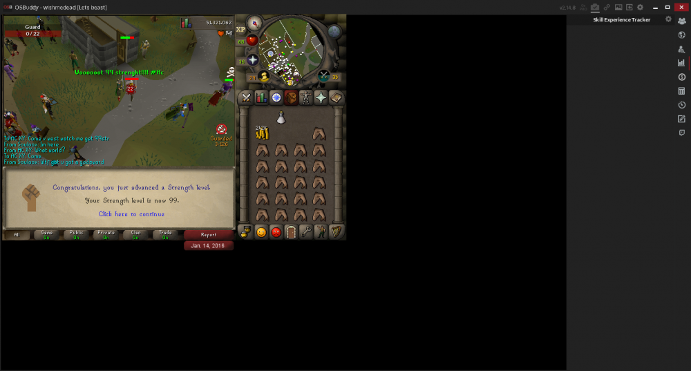 Strength Level (99).png