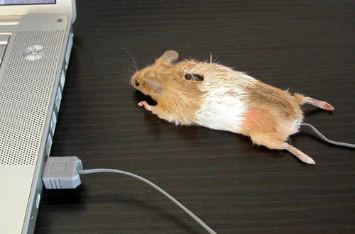 creative-computer-mouse-11.jpg
